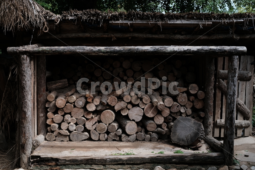 나무,땔감,장작,자연,옛날,firewood,tree,nature,나무,trees,wood