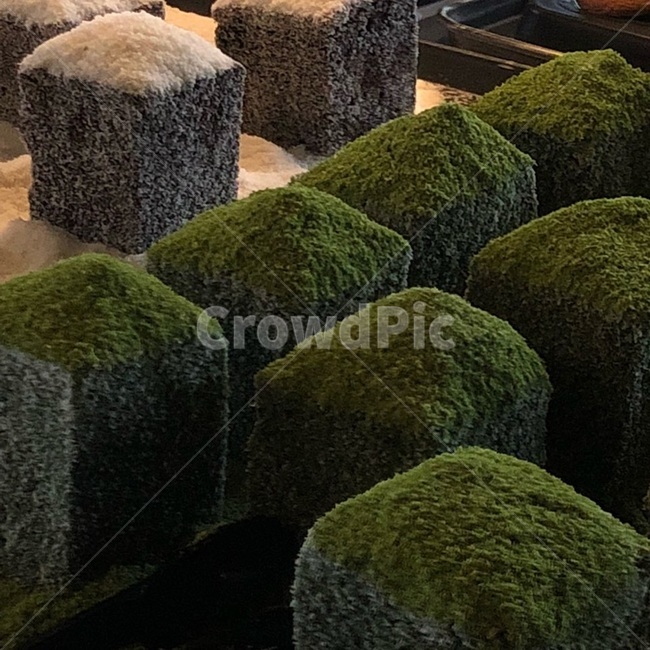 빵,카페,후식,디저트,팡도르,코코넛,초록색,식빵,brread,빵,bread