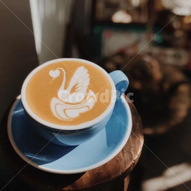 스완,라떼아트,라떼,커피,모닝커피,커피,카페,coffee,cafe,감성,sensible,feeling