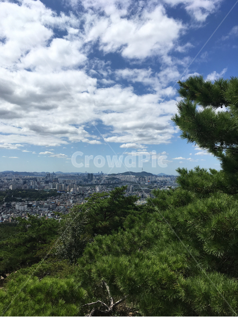 구름,하늘,구름떼,고적운,서울전경,outdoors,옥외,landscape,경치,자연,nature,풍경,scenery