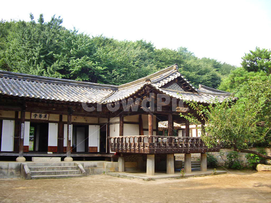 민속촌,민속마을,마당,기와집,한옥,한국전통,전통,전통마을,한국문화,보존,한국의미,옛마을,village,nature,plant,자연,풍경,식물,주거지,korean,traditional,culture,나무