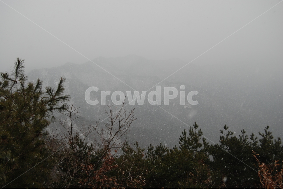 식장산,대전시,겨울,눈,자연,겨울,계절,winter,season,자연,풍경,nature,landscape,한국자연풍경,한국자연경관,korea nature landscape,weather,날씨,outdoors,옥외