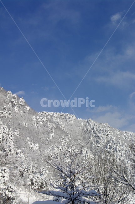 겨울,눈,설경,풍경,나무,설산,하늘,겨울,계절,winter,season