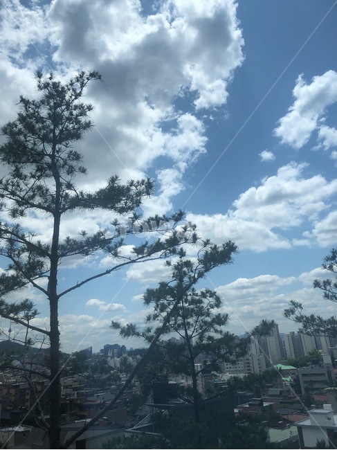 하늘,구름,풍경,여름,맑음