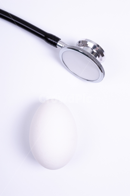 달걀,계란,음식,실내,정물,흰색,egg,음식,식재료,요리,food,cook,meal,dishes,food reserves,연출,컨셉,콘셉,direction,concept,누끼,remove background