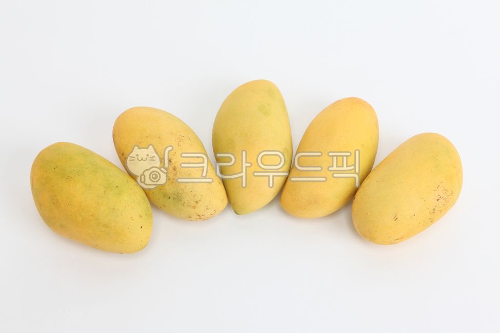 망고,애플망고,골드망고,과일,열대과일,수입과일,망고나무,카라바오망고,필리핀망고,페루망고,태국망고
