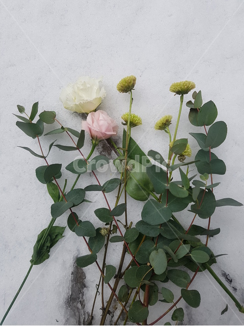 눈,겨울,꽃,식물,하얀색,분홍색,장미,유칼립투스,보타닉,winter,white,pink,꽃다발,첫눈