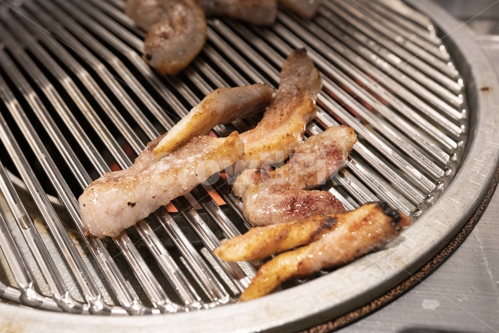 돼지고기,삼겹살,돼지고기,고기,육류,pork,바베큐,육류,고기,meat