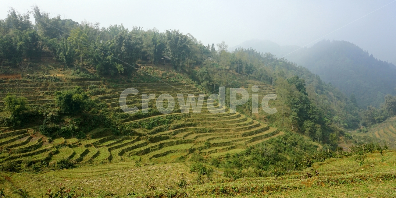 옥외,nature,자연,field,countryside,목초지,grassland,계단식,자연,풍경,nature,landscape