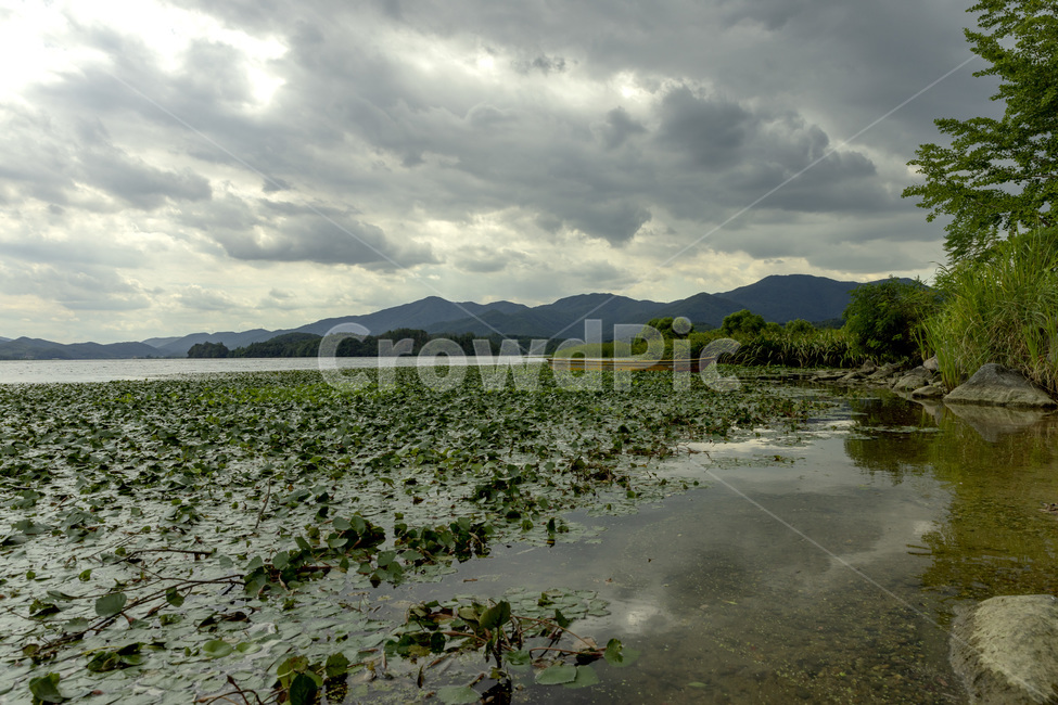 nature,자연,water,두물머리,자연풍경,양평,수초,구름,산,자연,풍경,nature,landscape,land,땅,outdoors,옥외,물