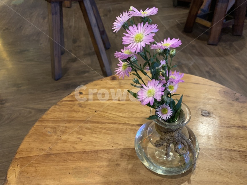 식물,꽃,테이블,나무,plant