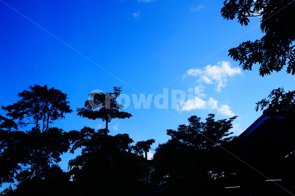 silhouette,실루엣,nature,자연,outdoors,옥외,구름,맑은날