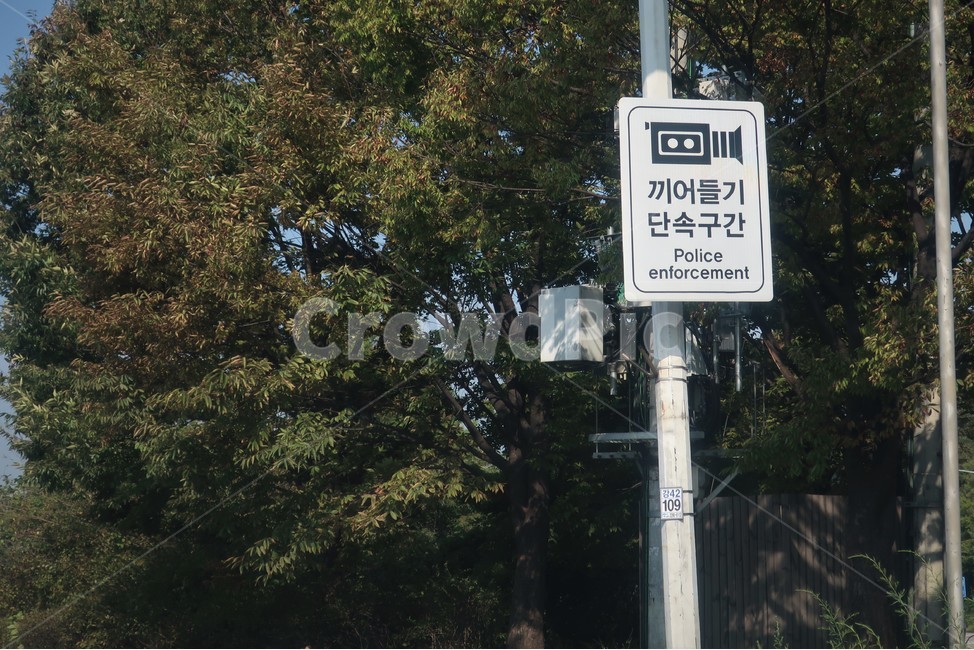 끼어들기,단속,구간,교통,표지,표지판,표시,예고,장소,경찰