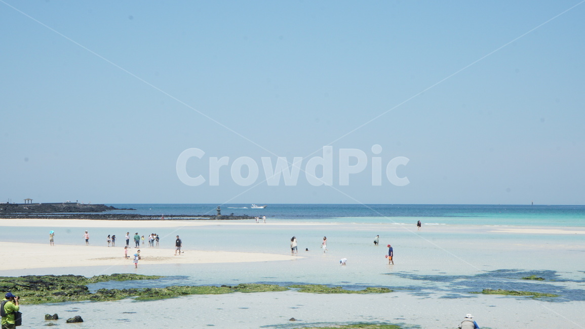제주도,제주,제주바다,바다,여름,해변,바다,beach,sea,제주도,jeju,jeju island,outdoors,옥외,land,땅,nature,자연,ocean,대양,water,물,shoreline,해안선,person,사람,human,인간