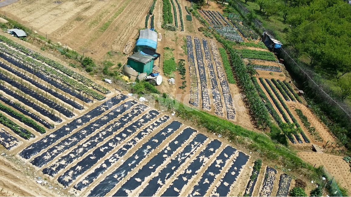 밭,텃밭,농지,농사,농장,시골,마을,풍경,landscape,country,rural,town,산업,industry,industrial,농업,농사,agriculture,farming,farming industry
