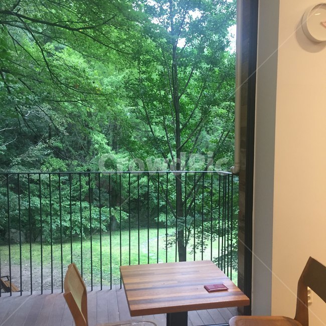 카페,산,숲,나무,감성,cafe,mountain,wood,tree,green,힐링,healing