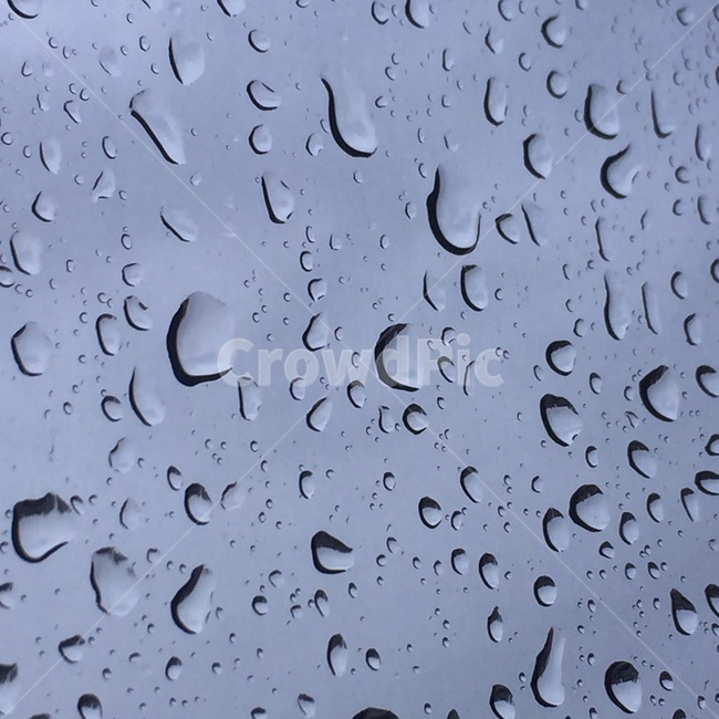 비,rain,waterdrop,raindrop,물방울