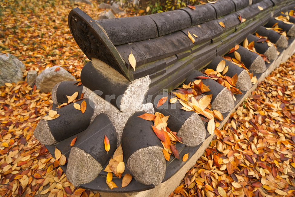 가을,낙엽,잎새,잎,계절,한옥,담장,기와,가을,계절,fall,autumn,season,한국전통,한국문화,korean traditional,korean culture,건축물,건물외관,exterior,building,structure,architecture,construction,plant,식물,leaf