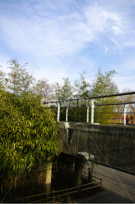 겨울,나무,공원,식물,plant,자연,풍경,nature,landscape,banister,난간,handrail,railing