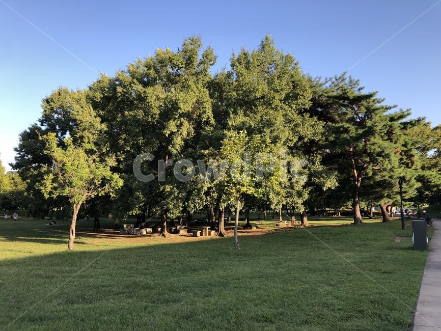 올림픽공원,공원,올림픽,서울,하늘,sky,park,자연,풍경,nature,landscape,grass,잔디,plant,식물,lawn,outdoors,옥외