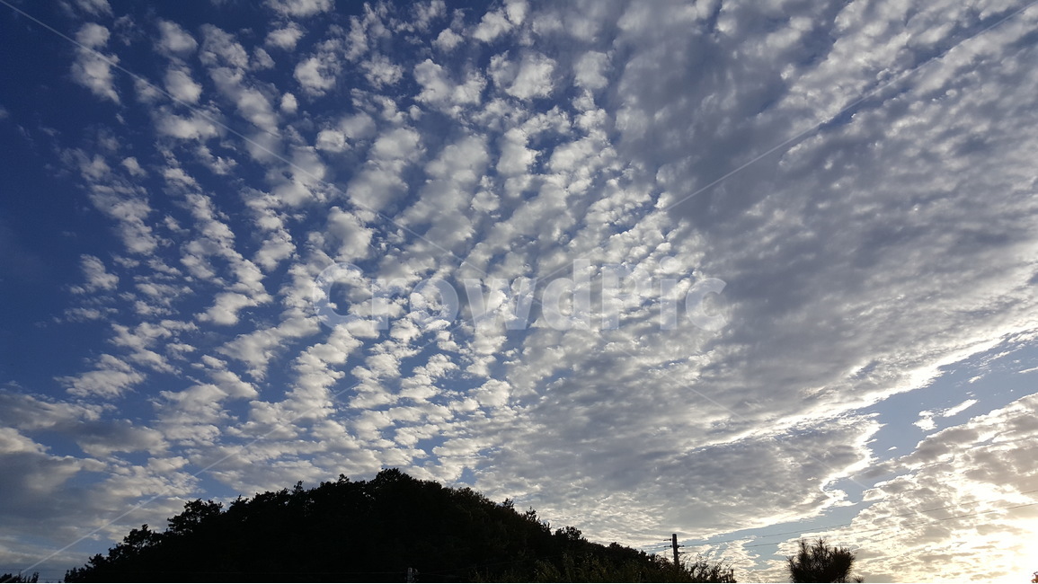 하늘,구름,자연,석양,양떼구름,자연,풍경,nature,landscape,outdoors,옥외,weather,날씨,cumulus,적운,cloud,sky