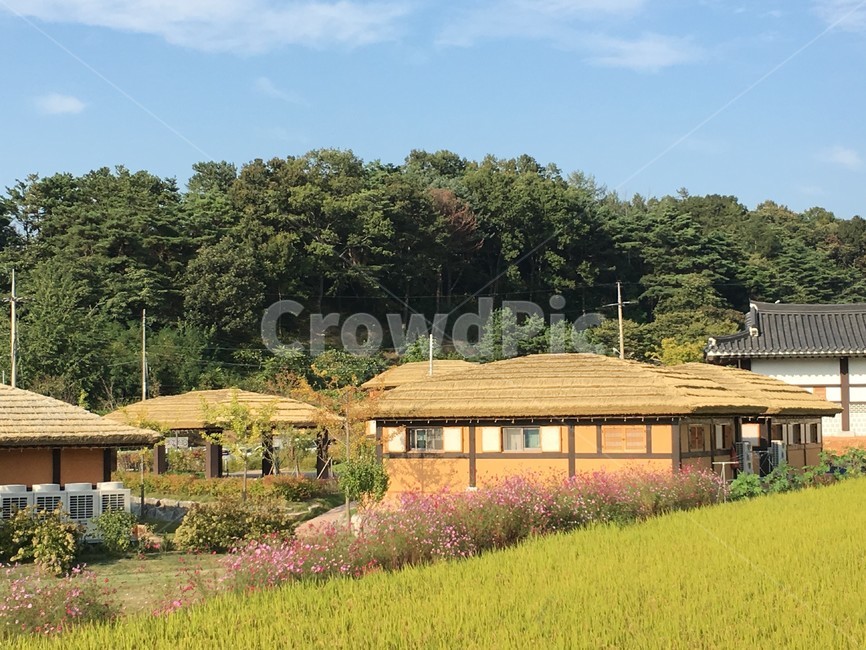 김유정마을,김유정,춘천,김유정역,농촌,한옥,시골,마을,풍경,landscape,country,rural,town,한국전통,한국문화,korean traditional,korean culture