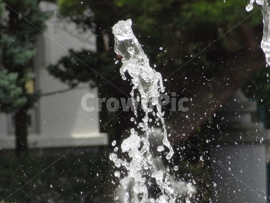 water,물,여름,분수,더위,용솟음치다,모양,물방울,시원함,야외,낮,summer,day,outdoor