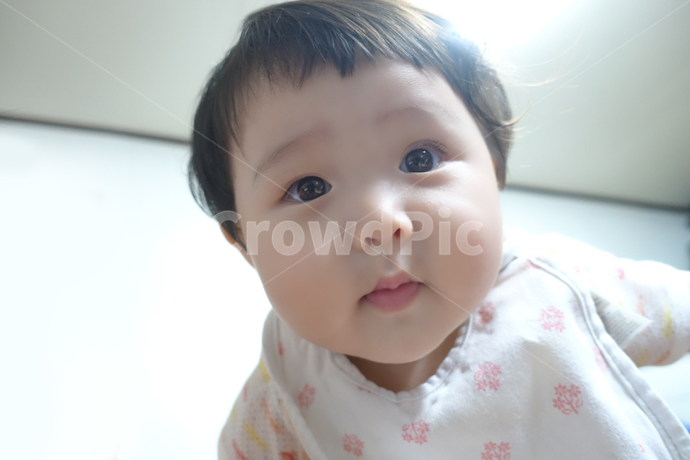 아이,아기,애기,아가,귀여운,쌍꺼풀,눈,눈동자,맑은,깨끗한,영아,유아,베이비,얼굴,표정,예쁘다,여아,여자,사람,인물,인간,human,person,영유아,아기,애기,아이,infants,baby