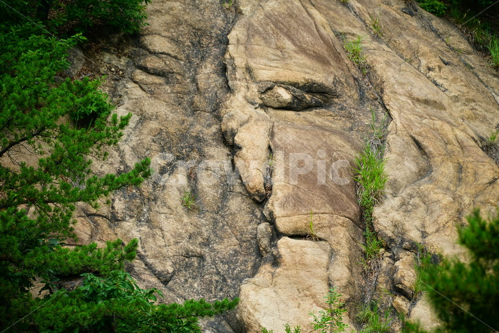 경기도,구리시,아차산,큰바위얼굴,자연,바위,암석,한국,한국자연,korea,nature,풍경,mountain,landscape,rock,face,얼굴,나무,tree