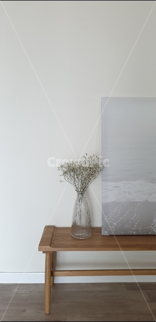 꽃,인테리어,봄,장미,안개꽃,실내용화초,화분,화초,house plant