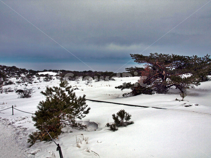 어리목,제주도,한라산,설경,겨울산,눈,등산,설화,설목,겨울,계절,winter,season,자연,풍경,nature,landscape,outdoors,옥외