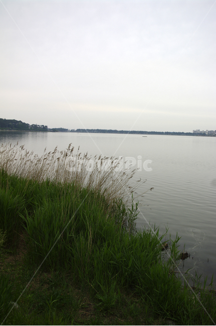 호수,풍경,식물,풀,물가,가을,계절,fall,autumn,season,자연,풍경,nature,landscape,water,물,outdoors,옥외