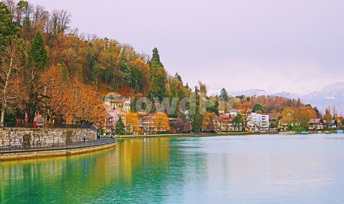 자연,가을,아날로그,감성,단풍,은행,식물,분위기,고즈넉함,가을,계절,fall,autumn,season,도시,풍경,city,landscape,해외,외국,세계,foreign,oversea,world,세계도시풍경,해외도시풍경,외국도시풍경,world cityscape,감성,sensible,feeling,tree,나무,plant,water,물,outdoors,옥외,nature