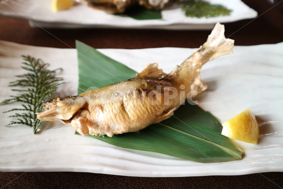 생선구이,일본음식,음식,생선,구이,반찬,식사,일식,japan,japanesefood,food,음식,식재료,요리,food,cook,meal,dishes,food reserves,수산물,해산물,fishery products,seafood