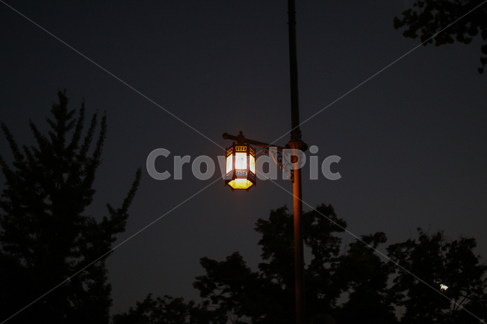 가로등,조명,저녁,밤,불빛,야경,밤,풍경,nightscape,night,landscape