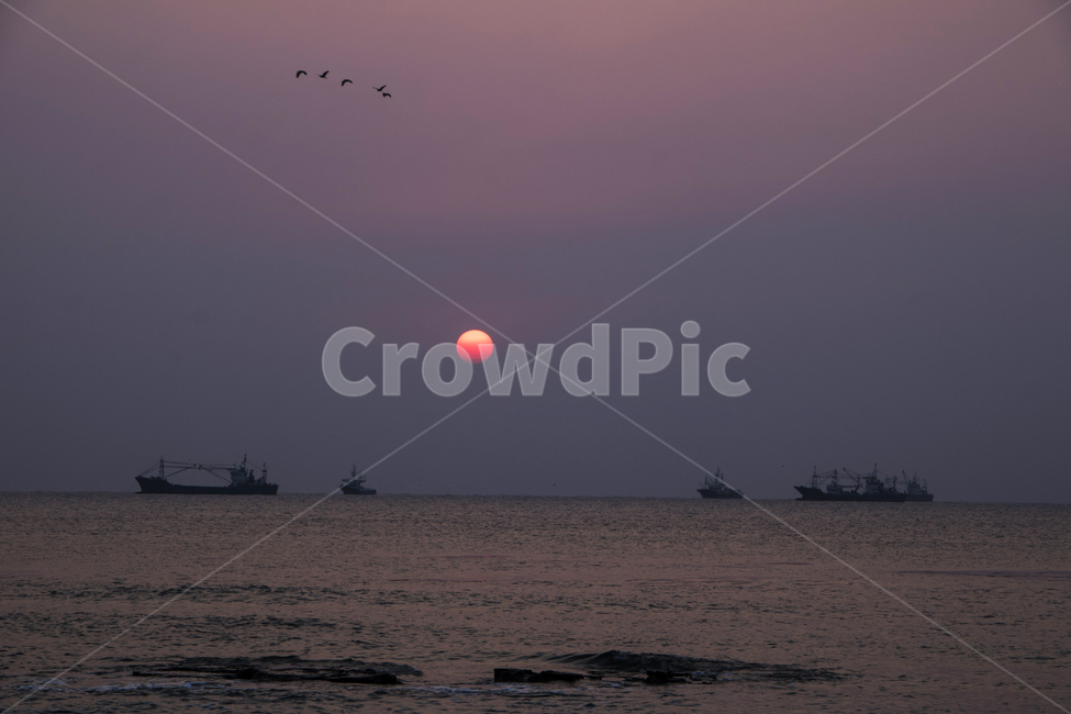 노을,일몰,갈매기,새,배,바다,일출,풍경,경치,태양,해,nature,자연,vehicle,boat,보트,transportation,outdoors,옥외,자연,풍경,nature,landscape,교통,차량,sunlight,햇빛