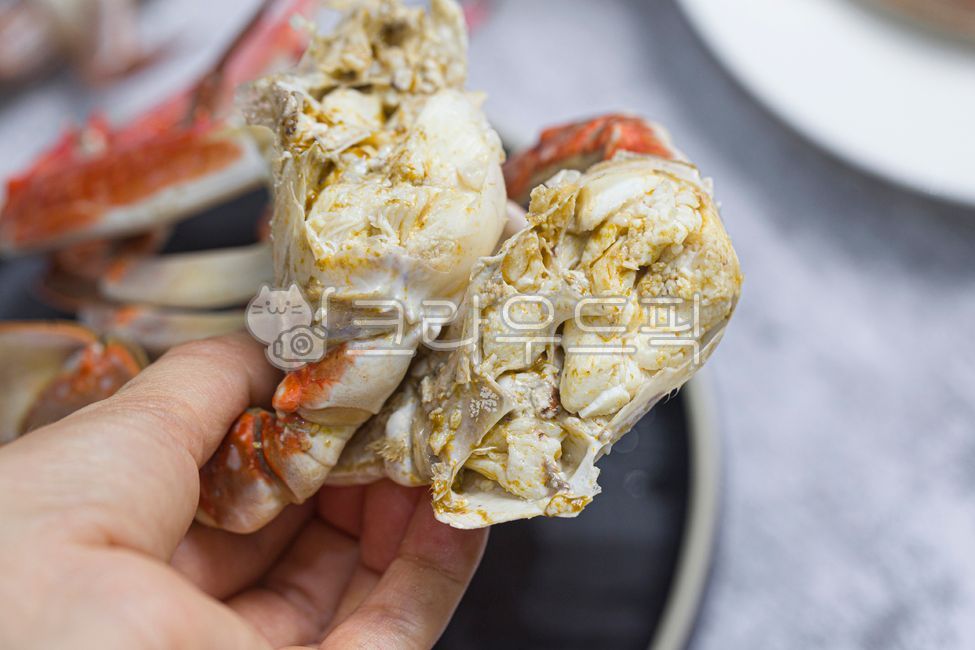 꽃게,숫꽃게,활꽃게,제철꽃게,가을꽃게,해산물,갑각류,꽃게찜,게찜,집게다리,게살