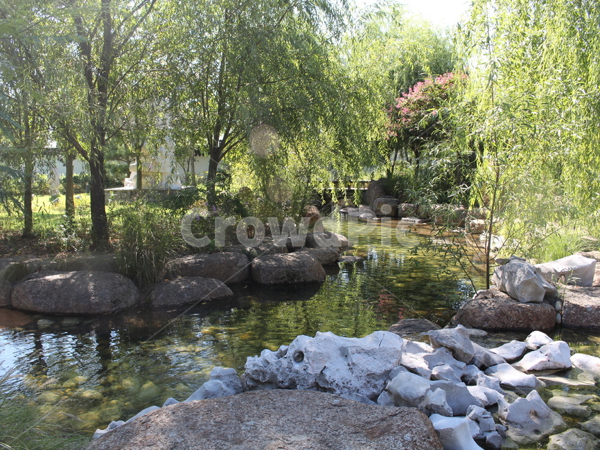 정원,여름,맑음,버드나무,쉼터,편안함,natural,순천,relaxation,rest,자연,풍경,nature,landscape,water,물,outdoors,옥외
