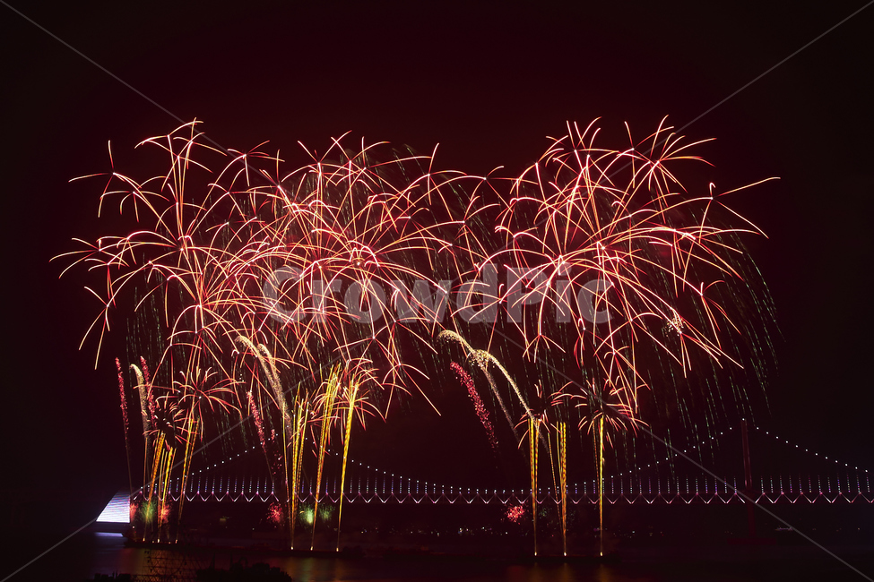불꽃,불꽃놀이,부산불꽃축제,폭죽,부산밤바다,화약,야경,밤,풍경,nightscape,night,landscape,nature,자연,outdoors,옥외