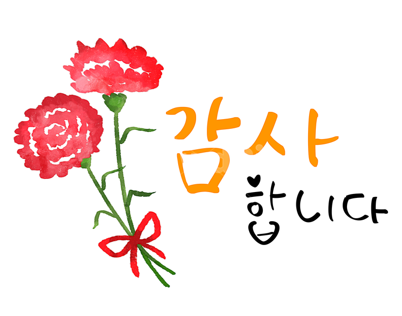 가족,이벤트,꽃,식물,감사,캘리그래피,선생님,스승의날,카네이션,일러스트,어버이날,5월8일,어머니,아버지,엄마,아빠,어버이,은혜,수채화,가족의달,가정,선물,계절,시즌,폰트,문구,시안,쇼핑몰,붓글씨,현수막,행사,카드,배너,팝업,메일링,편지,캘리그라피,캘리,켈리그라피,손글씨,이벤트팝업,5월15일,가족,패밀리,family,캘리그라피,손글씨,calligraphy