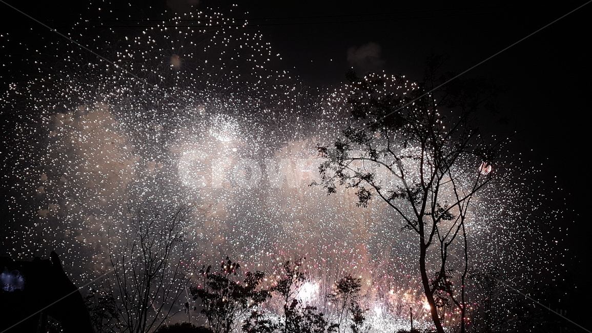 불꽃,화려한,야경,축제,firework,여의도,하늘,festival,야경,밤,풍경,nightscape,night,landscape,축제,행사,festival,carnival,event,nature,자연,outdoors,옥외