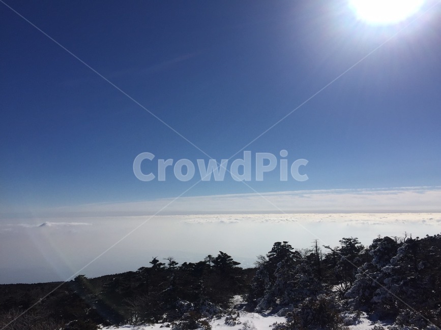 한라산,자연,태양,햇빛,하늘,구름,sky,tree,나무,plant,식물,fir,전나무,아비,abies,자연,풍경,nature,landscape