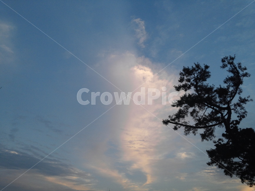 하늘,구름,자연,풍경,나무,자연,풍경,nature,landscape,outdoors,옥외