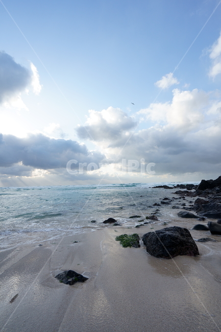 제주도,자연,겨울바다,파도,해변,제주바다,koreanature,wintersea,sea,wave,coast,jejuisland,jeju