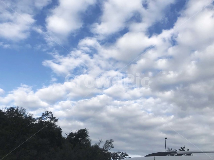 나무,하늘,구름,맑은날,여름,파랑,경치,자연,풍경,식물,nature,outdoors