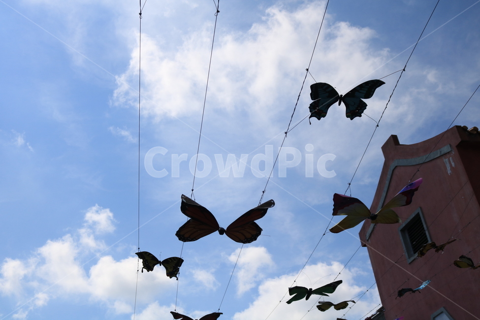 하늘,나비,구름,나비모양장식,sky,butterfly,cloud,butterflyshape,조각상,동상,석상,조형물,statue,bronze statue,stone statue