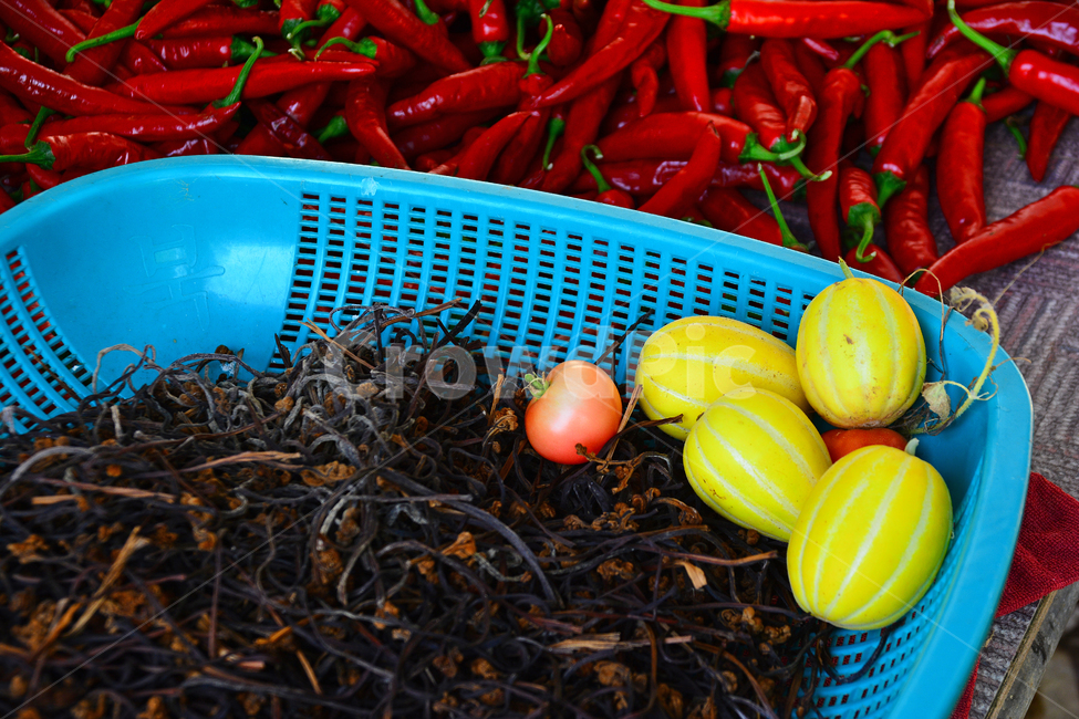 토마토,참외,고추,고사리,수확,열매,과일,나물,시골집,마루,건조,식물,음식,food,chilipepper,매운맛,밭농사,농업,산업,재배,농사,소박한,풋풋한,꾸밈없는,먹거리,음식,식재료,요리,food,cook,meal,dishes,food reserves,채소,야채,vegetables