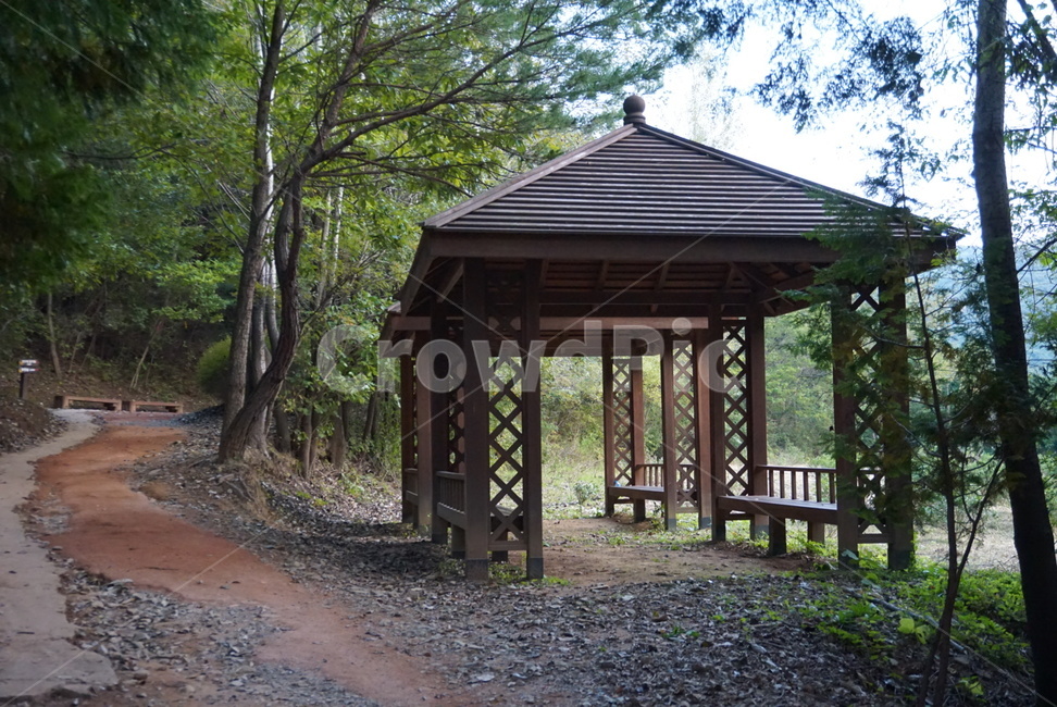정자,숲,자연,자갈,산책길