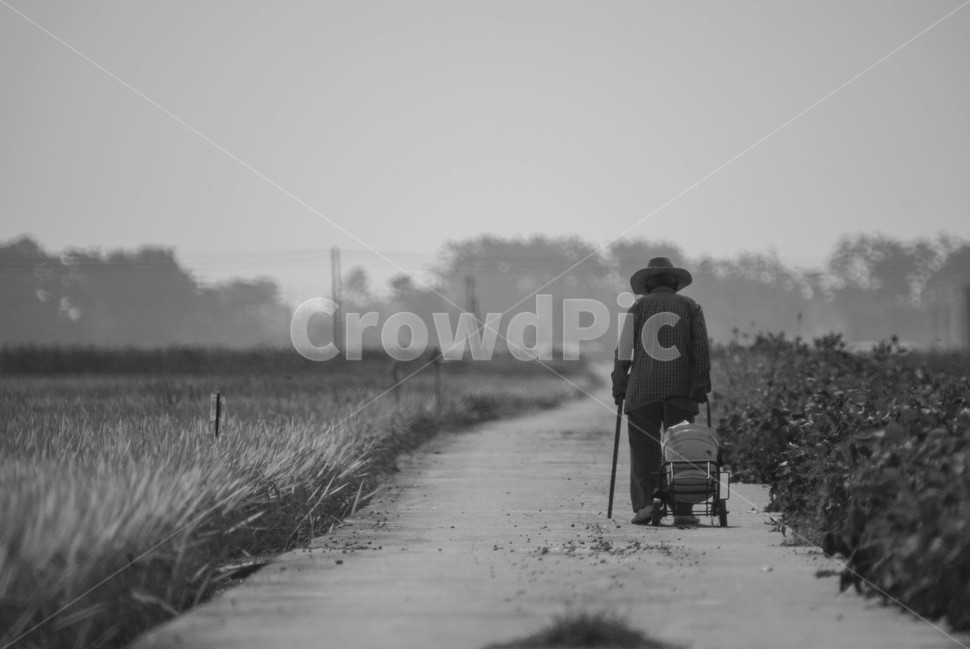 농촌,시골,해질녁,농부,뒷모습,시골,마을,풍경,landscape,country,rural,town,사람,인물,인간,human,person,고독함,외로움,쓸쓸함,우울함,슬픔,lonely,solitary,흑백,모노톤,monochrome,black and white