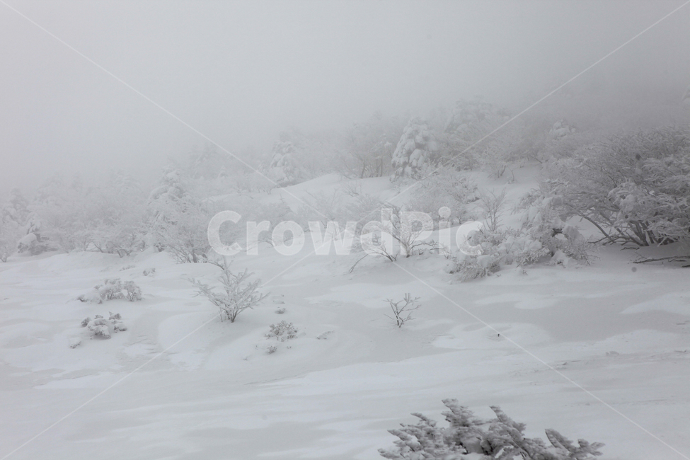 겨울,한라산,설경,자연,눈꽃,겨울,계절,winter,season,자연,풍경,nature,landscape,storm,폭풍,blizzard,눈보라,outdoors,옥외,snow,눈
